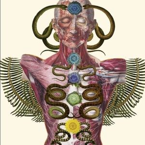 Meet your Posher, Ronnie